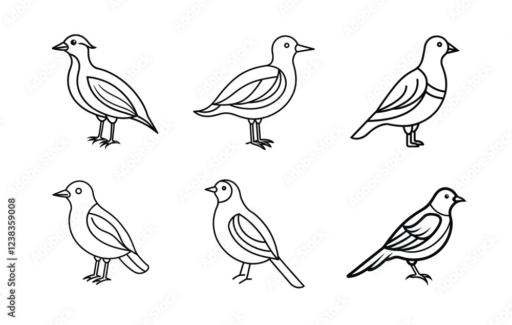 Fototapeta premium This features a set of six stylized, black line art illustrations of different bird species.
