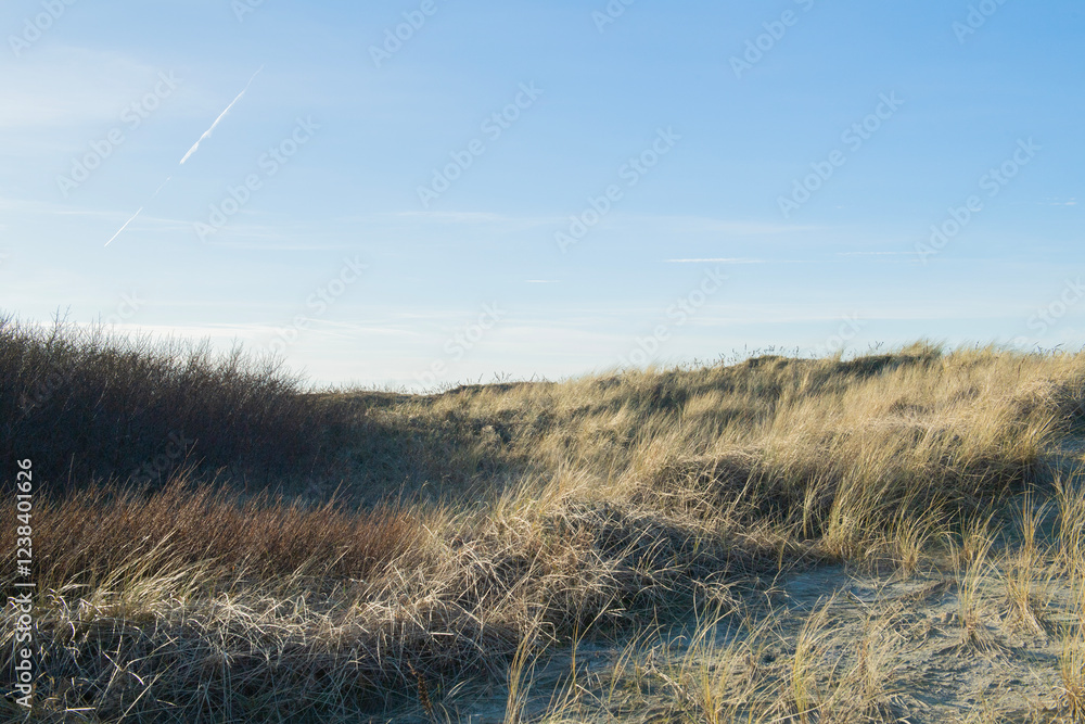 Fototapeta premium Dünen am Strand von Norddeich