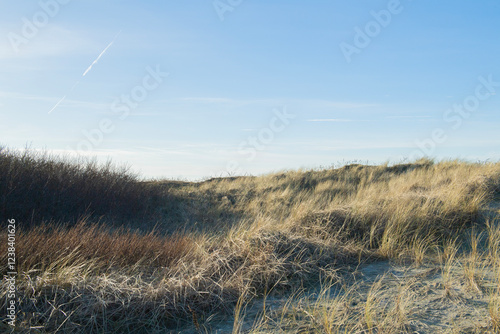 Dünen am Strand von Norddeich photo