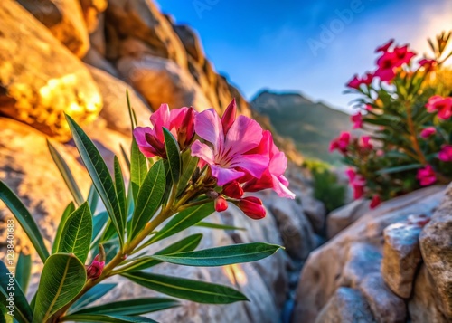 Wallpaper Mural Aerial View: Vibrant Oleander Flower Against Colorful Rocky Terrain Torontodigital.ca