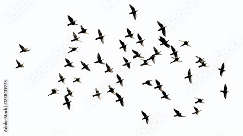 Flock of Birds in an Open Sky Forming Intricate Patterns and Shapes during Migration or Flight Over a Tranquil Landscape in Natural Habitat