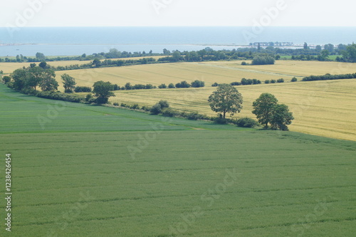 agricultural landscape, fields in schleswig holstein, germany, at the baltic sea, cultural landscape