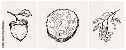 Detailed Illustration of an Acorn and Nature's Touch