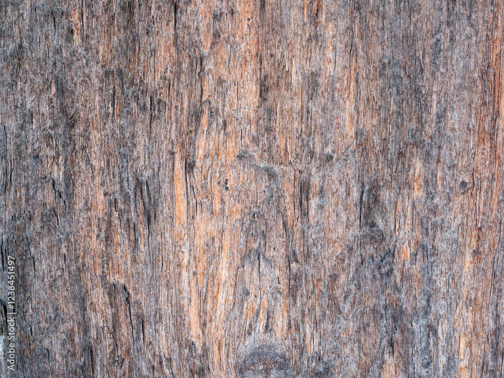 Close up wood pattern and texture for nature Background.
