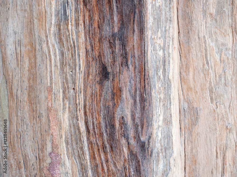 Close up wood pattern and texture for nature Background.