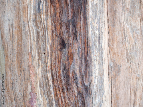 Obraz na płótnie Close up wood pattern and texture for nature Background. w salonie