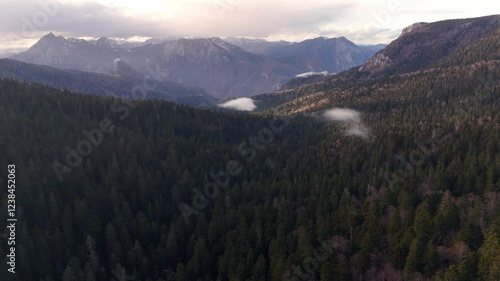 Drone flying over Perucica rainforest in national park Sutjeska photo