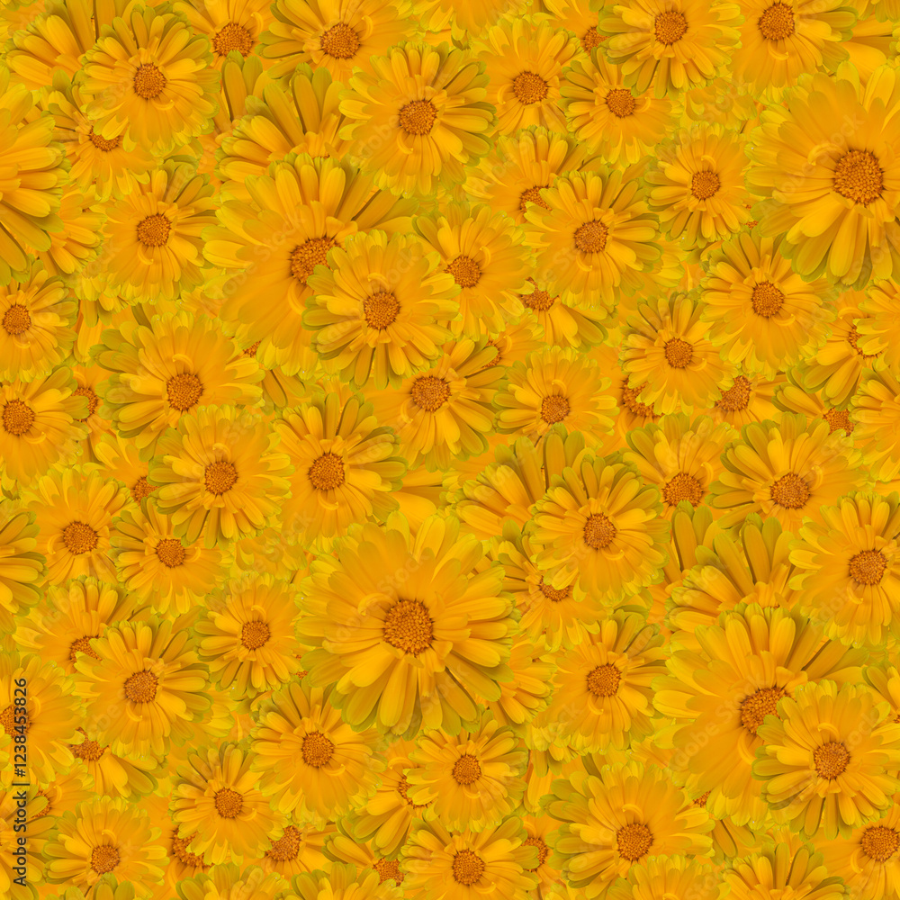 Seamless floral pattern texture featuring bright yellow daisies on a vivid background Seamless floral pattern texture featuring bright yellow daisies on a vivid background