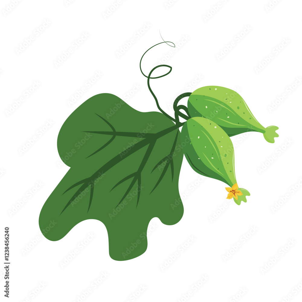 Obraz premium Fresh, green, healthy cucumber, sliced ​​into pieces, isolated on white background. Suitable for concepts related to healthy eating, vegetarian food, organic products and natural ingredients.
