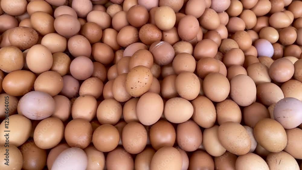 Pile of broiler chicken eggs at the trader. Background of pile of brown chicken eggs. Chicken eggs contain many vitamins for health Pile of broiler chicken eggs at the trader. Background of pile of brown chicken eggs. Chicken eggs contain many vitamins for health