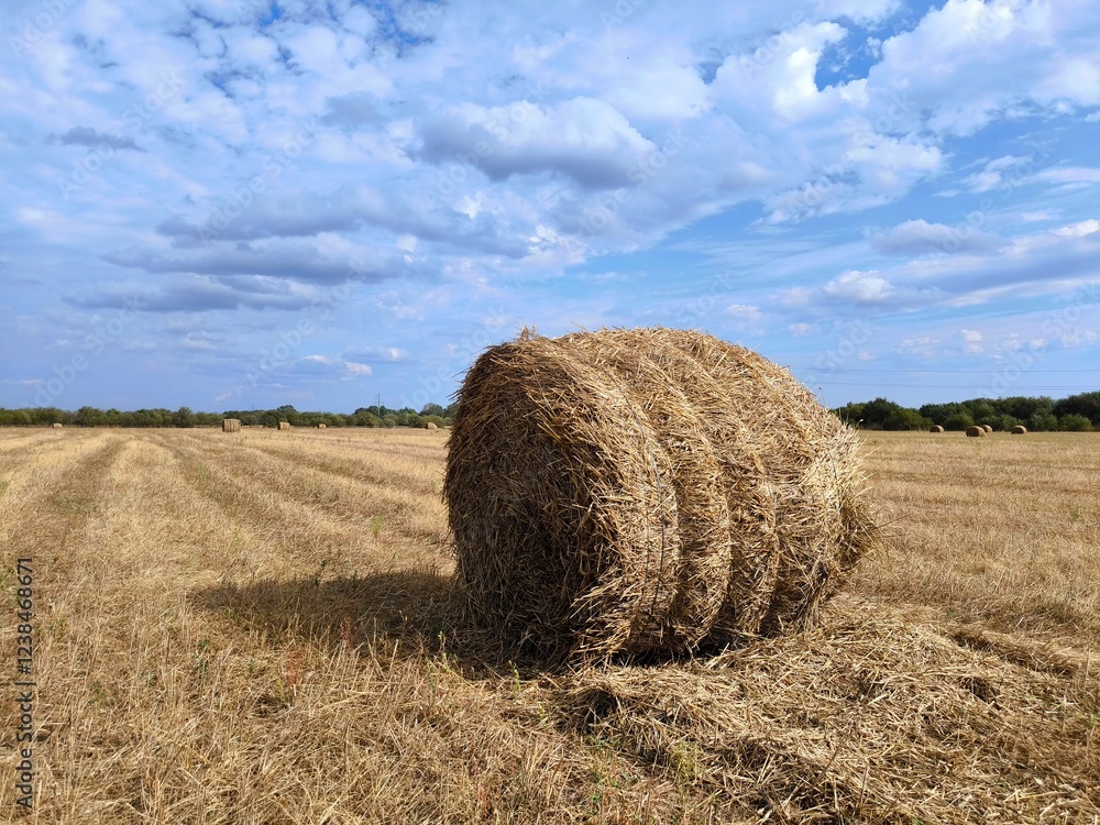 Stubble field with hay bales under summer sky. Straw bales on stubble field under blue sky with clouds Stubble field with hay bales under summer sky. Straw bales on stubble field under blue sky with clouds