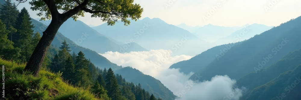 Misty low clouds cling to mountain tree branches, scenery, foliage Misty low clouds cling to mountain tree branches, scenery, foliage