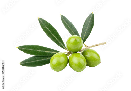 Wallpaper Mural A small branch of green olives with dark green leaves, isolated on white background Torontodigital.ca