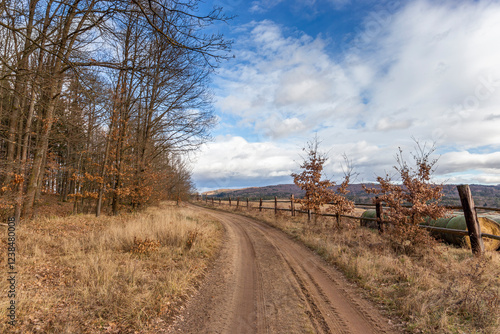 A dirt road in the hills. Early spring. Czechia