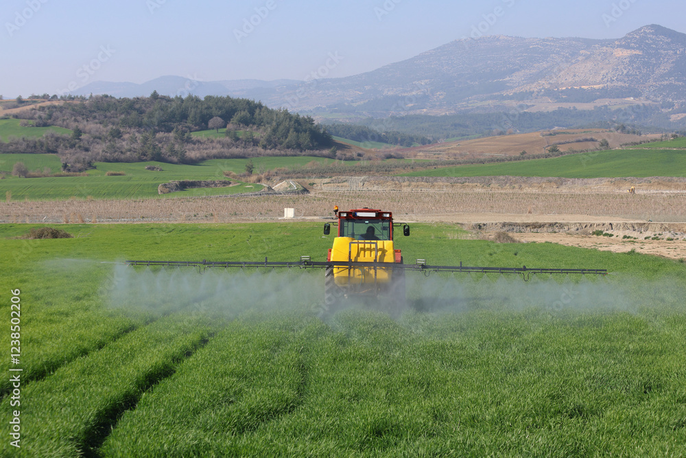 Fototapeta premium a farmer applying fungicide to protect the wheat crop from bunt disease