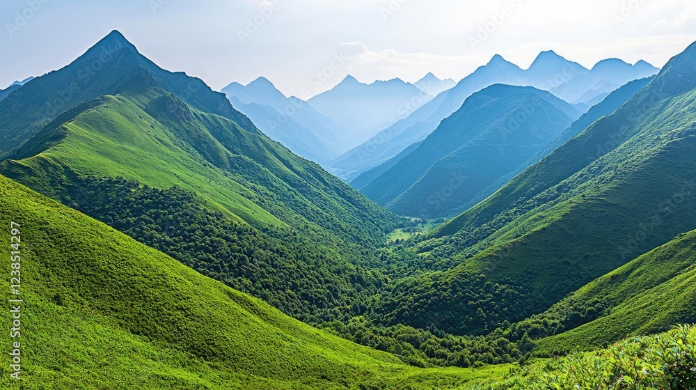 Fototapeta premium Amidst mountains nature idea. Breathtaking green valley surrounded by majestic mountains under clear blue sky.