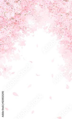 美しく華やかな満開の桜の花と花びら舞い散る春の桜アーチの白バックフレーム背景素材イラスト