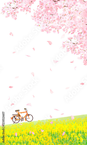 Vector illustration of a bicycle along a bank of cherry blossom trees and rape blossoms, white background, vertical screen size.桜と菜の花の縦長サイズフレーム　iPhone画面サイズ　