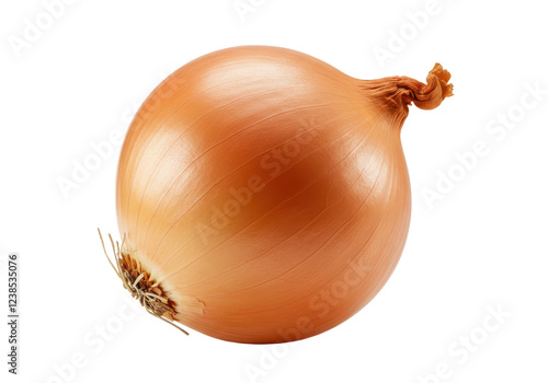 Wallpaper Mural Onion isolated on white background, no depth of field, sharp. Torontodigital.ca