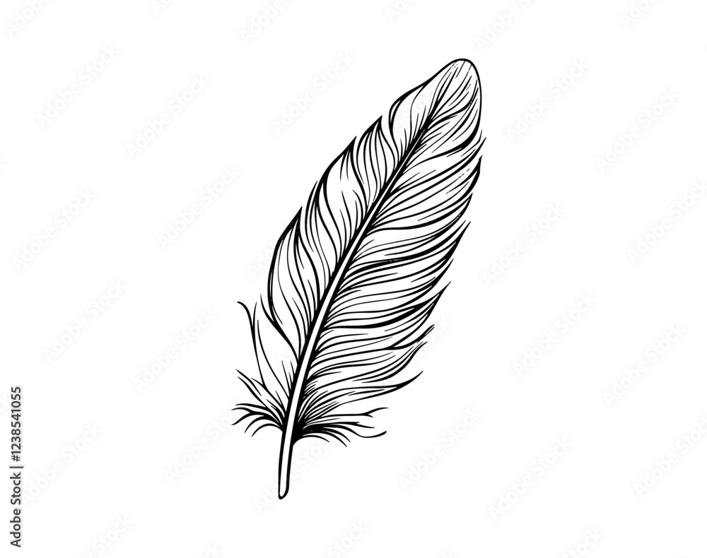 Obraz premium Single Feather Black and White Line Art with Delicate Detail