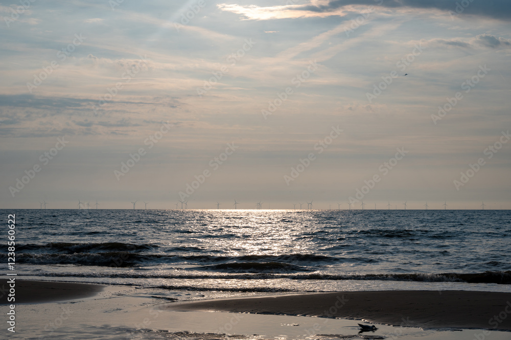Fototapeta premium Sea with many wind turbines on the horizon