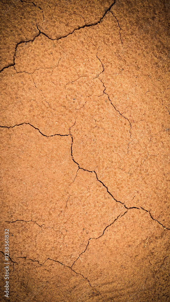 Dry Cracked Earth Surface Texture Background for Design Projects Dry Cracked Earth Surface Texture Background for Design Projects