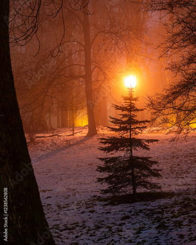 Lonely tree in the empty park at night. Winter in the park, fog. Misty parkway with snow. Yellow sodium lamps haze. photo