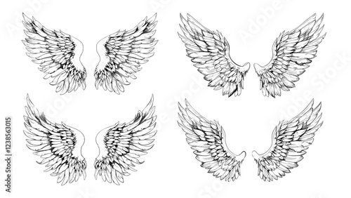 Angel wings engraved vector set. Seraphim feathers soar celestial plumage quilled plume cherubim flying divine holy religious heavenly sacred mystical fantasy symbols isolated vectors on white