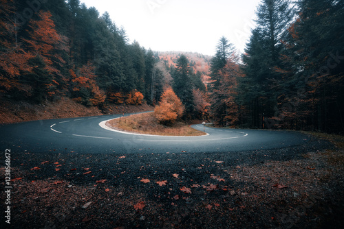 A stunning winding mountain road cutting through a colorful autumn forest, captured with a scenic perspective. A perfect representation of fall’s beauty