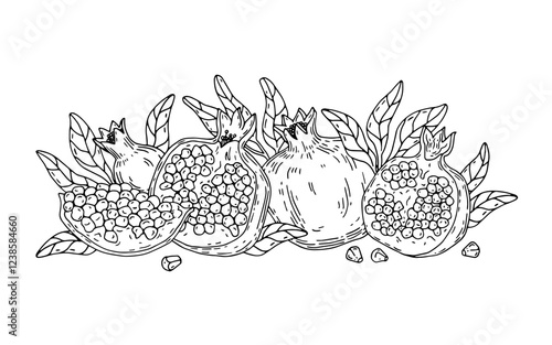 Hand-painted composition with pomegranate fruit and leaves. Line illustration isolated on white background.