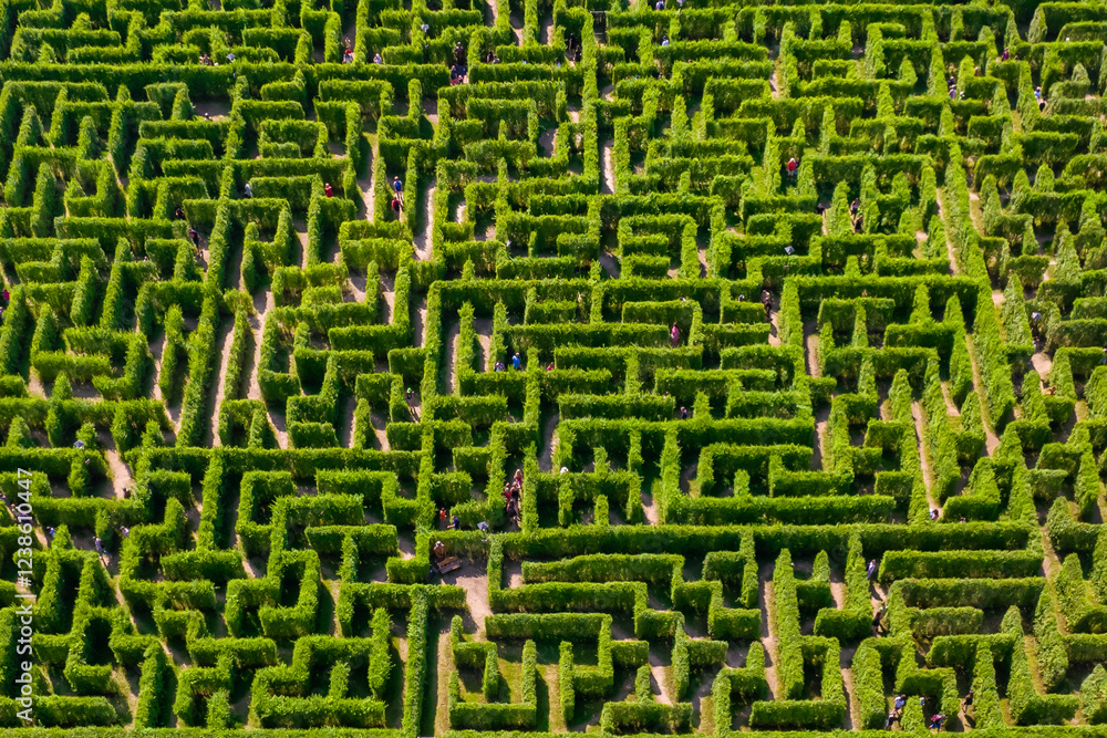 Aerial view of people trying to find exit in a labyrinth garden at sunny day