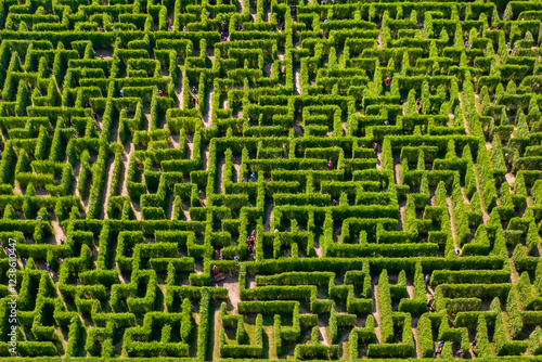 Obraz na płótnie Aerial view of people trying to find exit in a labyrinth garden at sunny day w salonie