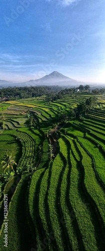 Tableau sur toile Beautyful rice field terrace in java indonesia, rice and sky