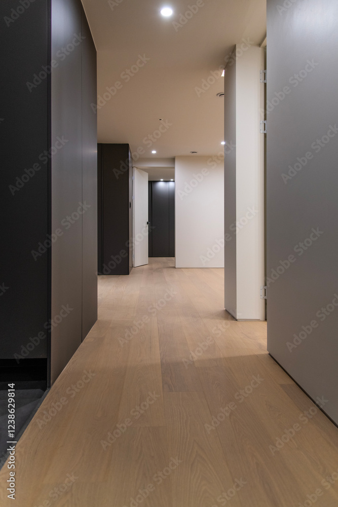isle and corridor in the apartment isle and corridor in the apartment
