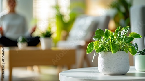 Peaceful Indoor Space with Houseplants and Person Meditating