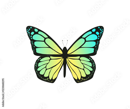 Schmetterling, bunt - Vektor