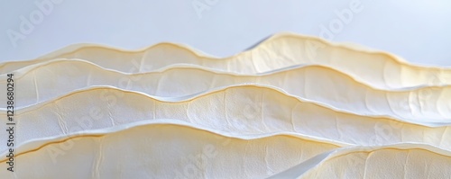 Wallpaper Mural Textured Layers of Soft White Leaves in Natural Light Display Torontodigital.ca