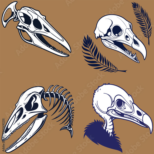 Eagle  skull bundle silhouette art and illustrator eps
