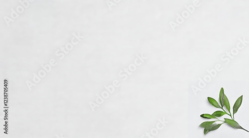 Green Sprig on Gray Textured Background Minimalist Nature Photography