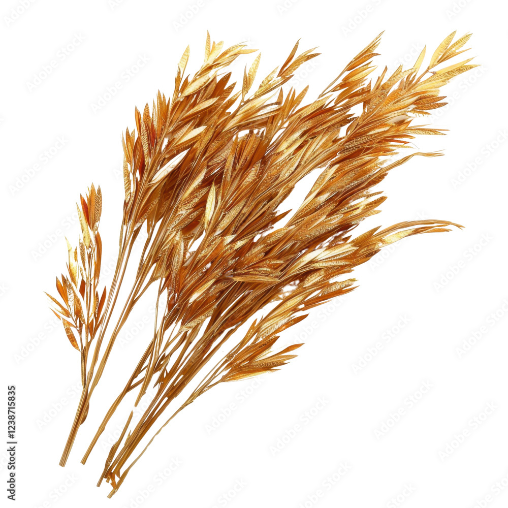 Fototapeta premium Dried golden grass stems arranged in natural bouquet, perfect for home decor or floral arrangements, adding touch of warmth and elegance to any space