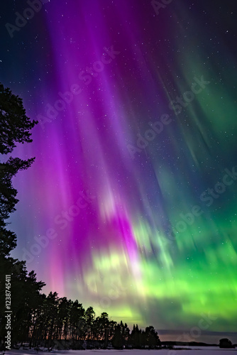 Monnlight lake with northern lights danzing over frosen lake in Farnebofjarden national park in north of Sweden photo