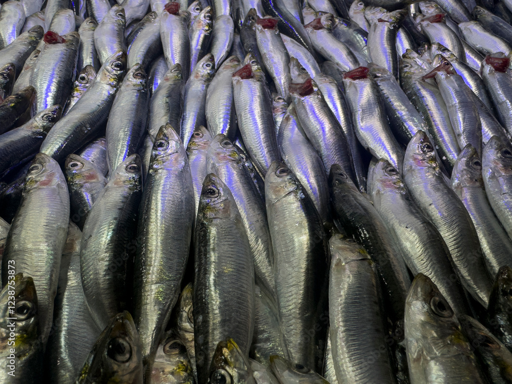 Obraz premium fresh fish at the market