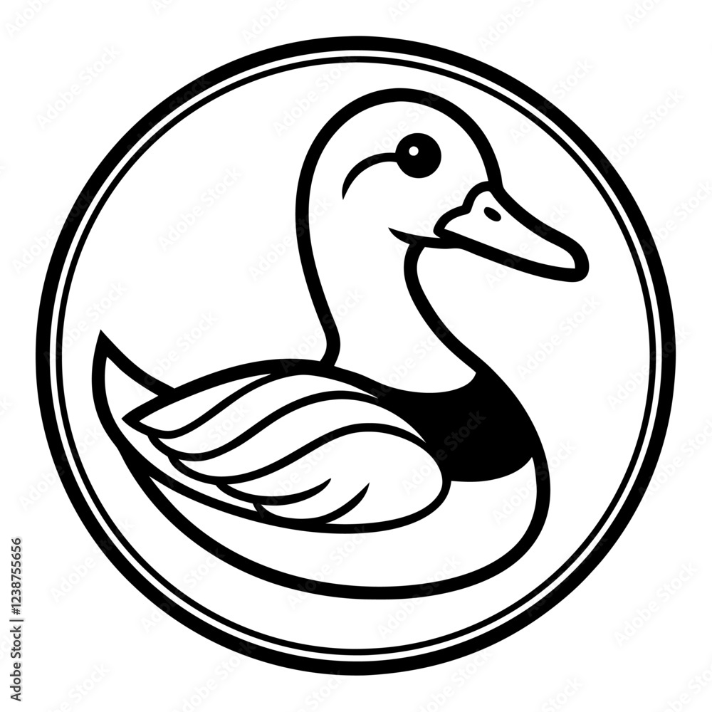 duck isolated on white duck isolated on white
