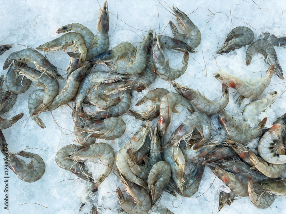 fresh shrimps at the market fresh shrimps at the market