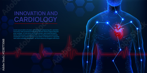 Heart beat. Human body health. 3D heartbeat. Cardiology attack. Medical consultation. Innovation medicine. Hologram anatomy. Organ and healthy pulse. Polygonal shapes. Vector background
