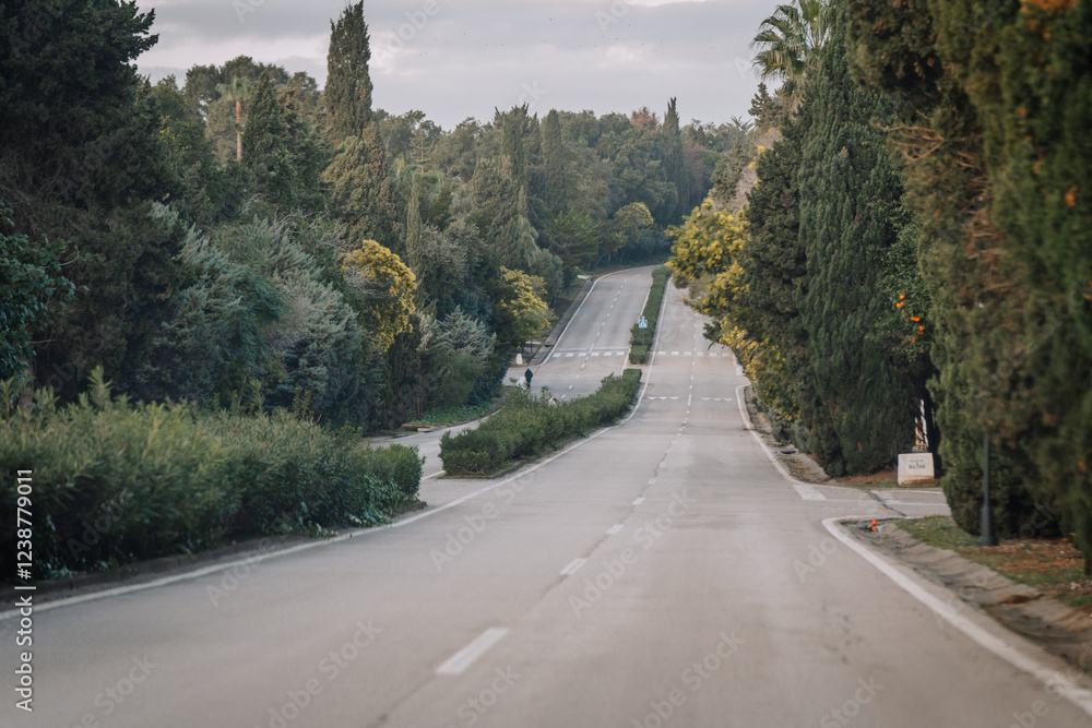 Fototapeta premium A quiet road lined with lush green trees and bushes, leading into a peaceful forested area under a cloudy sky.