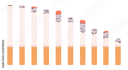 Cigarette burning. Isolated cigarettes cartoon burn stages. Smoking process, ash of butt. Harmful addiction of tobacco, racy vector elements