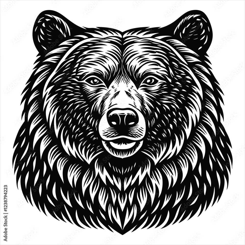 Bear Bear