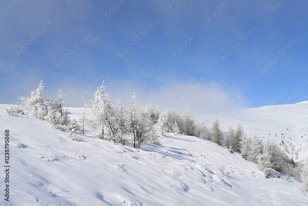 Sunny winter mountain landscape with frost and snow covered glistening trees seen by a winter ski tour in the popular Lachtal, Styria, Austria Sunny winter mountain landscape with frost and snow covered glistening trees seen by a winter ski tour in the popular Lachtal, Styria, Austria