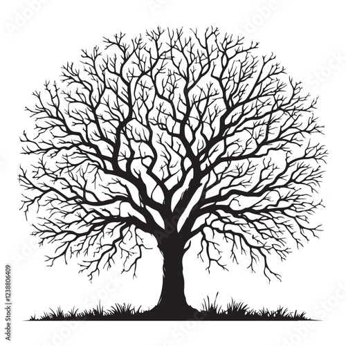 Silhouette vector illustration of a majestic oak tree